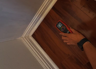 Moisture Detection