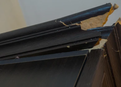 Property Damage Repairs