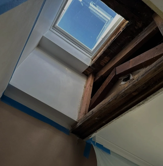 Reconstruction Services