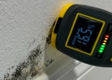 Moisture inspection