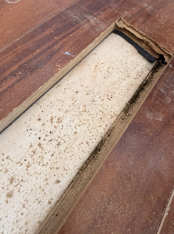 kitchen Water Damage Restoration and Mold Remediation - фото - 7