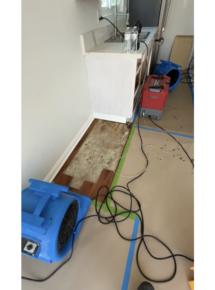 kitchen Water Damage Restoration and Mold Remediation - фото - 4