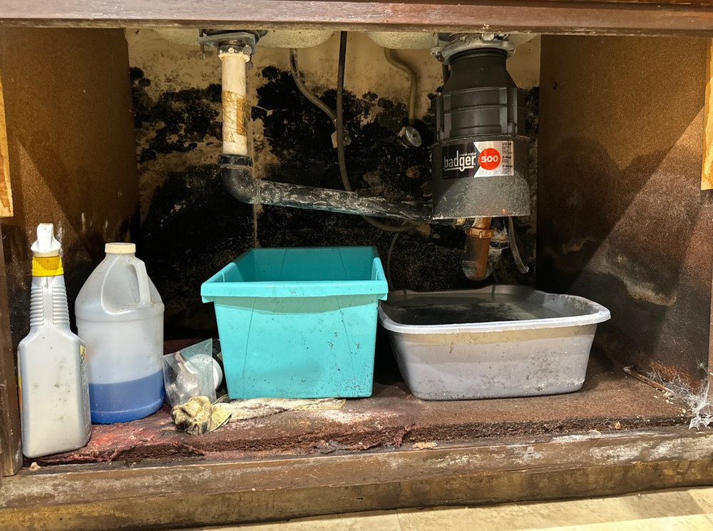 kitchen Water Damage Mold Remediation and Reconstruction - фото - 9