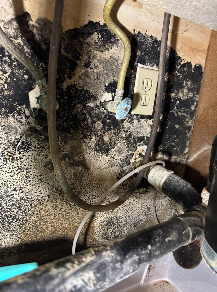 kitchen Water Damage Mold Remediation and Reconstruction - фото - 8
