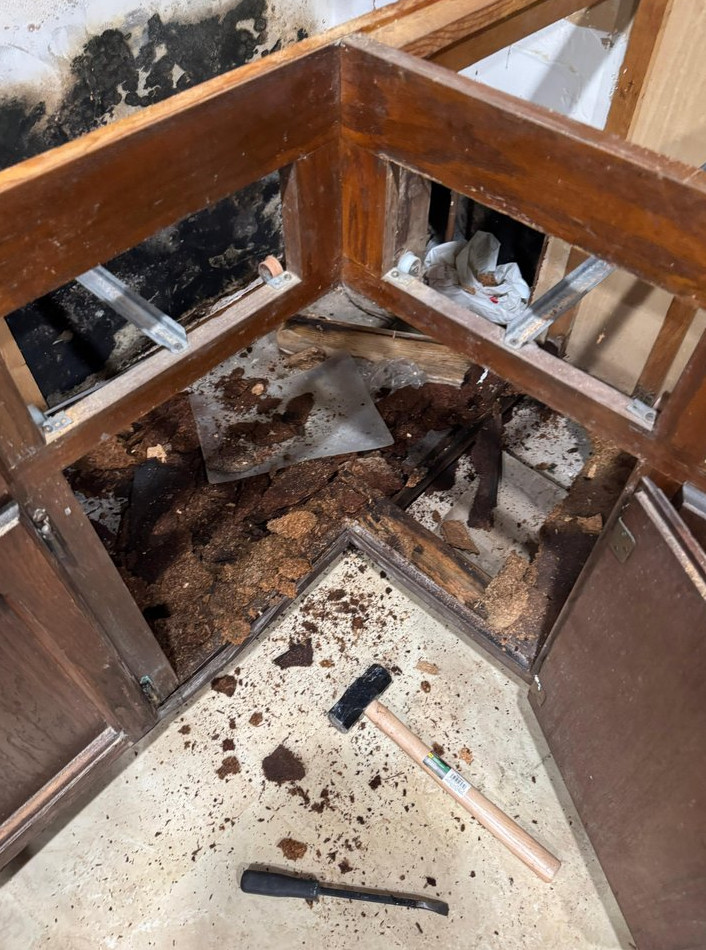 kitchen Water Damage Mold Remediation and Reconstruction - фото - 6