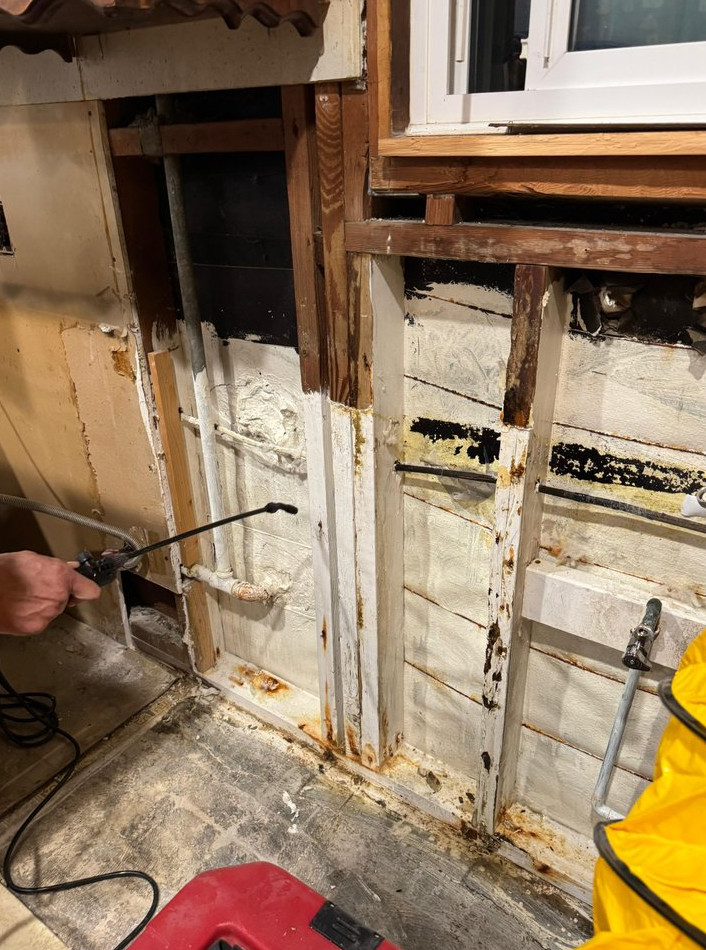 kitchen Water Damage Mold Remediation and Reconstruction - фото - 4