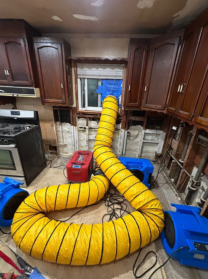 kitchen Water Damage Mold Remediation and Reconstruction - фото - 3