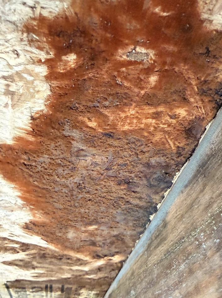 hidden Leak & Mold Remediation – Kitchen Water Damage Project - фото - 3