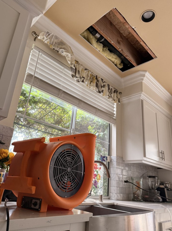 hidden Leak & Mold Remediation – Kitchen Water Damage Project - фото - 2