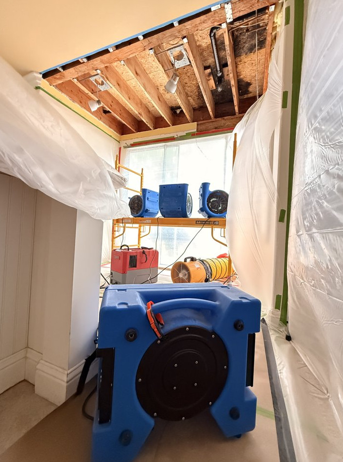 hidden Leak & Mold Remediation – Kitchen Water Damage Project - фото - 1