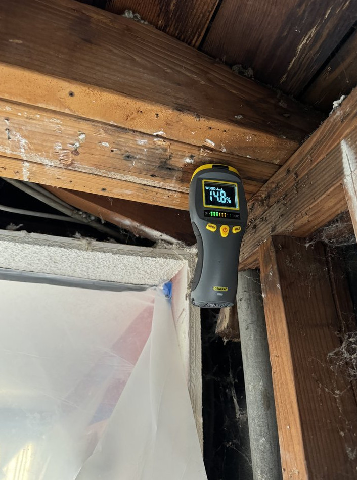 water Damage & Mold Prevention – Long Beach - фото - 2