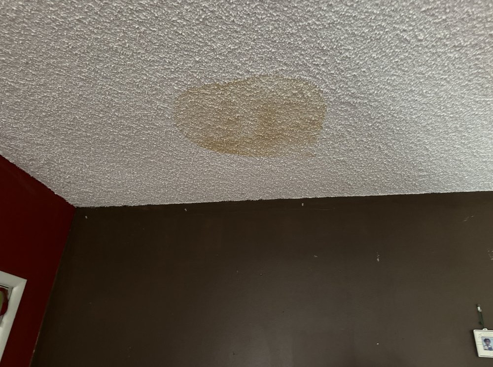 water Damage & Mold Prevention – Long Beach - фото - 12