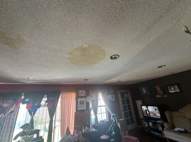 water Damage & Mold Prevention – Long Beach - фото - 13
