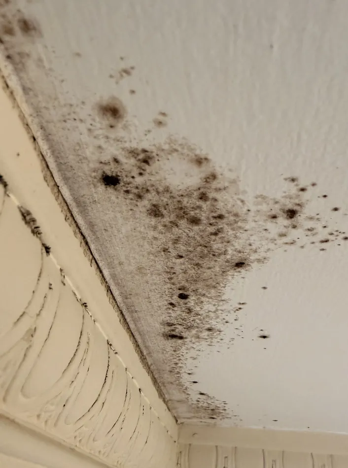 mold Remediation and Bathroom Restoration in Oakland CA - фото - 10