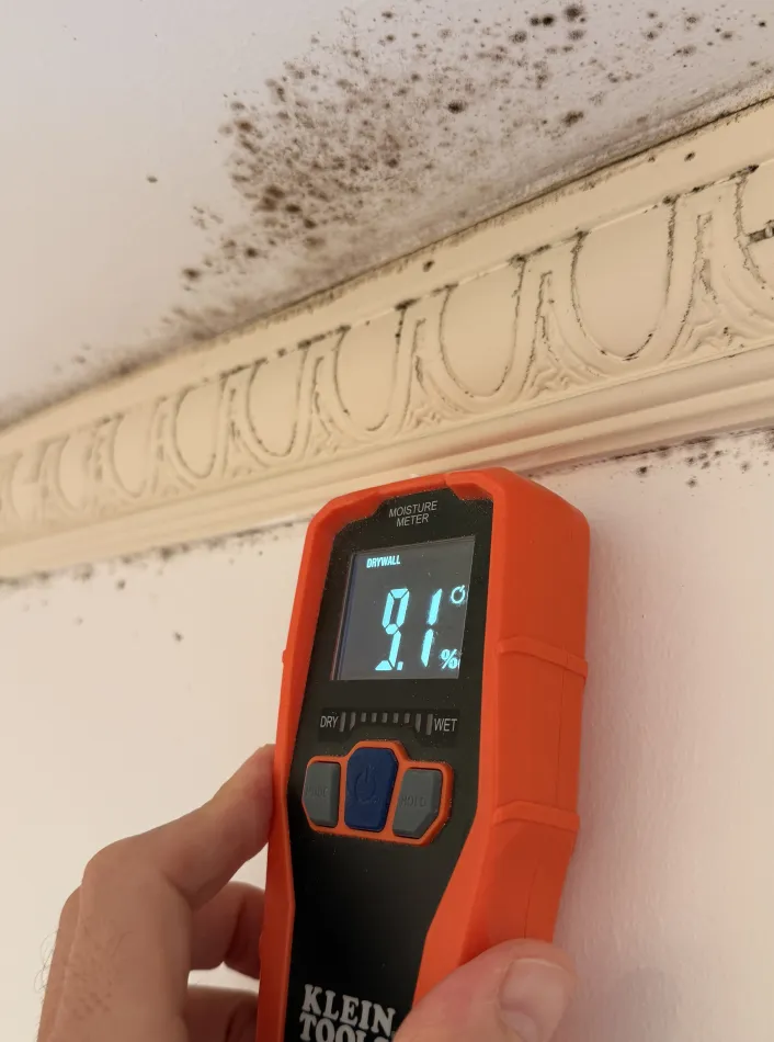 mold Remediation and Bathroom Restoration in Oakland CA - фото - 1