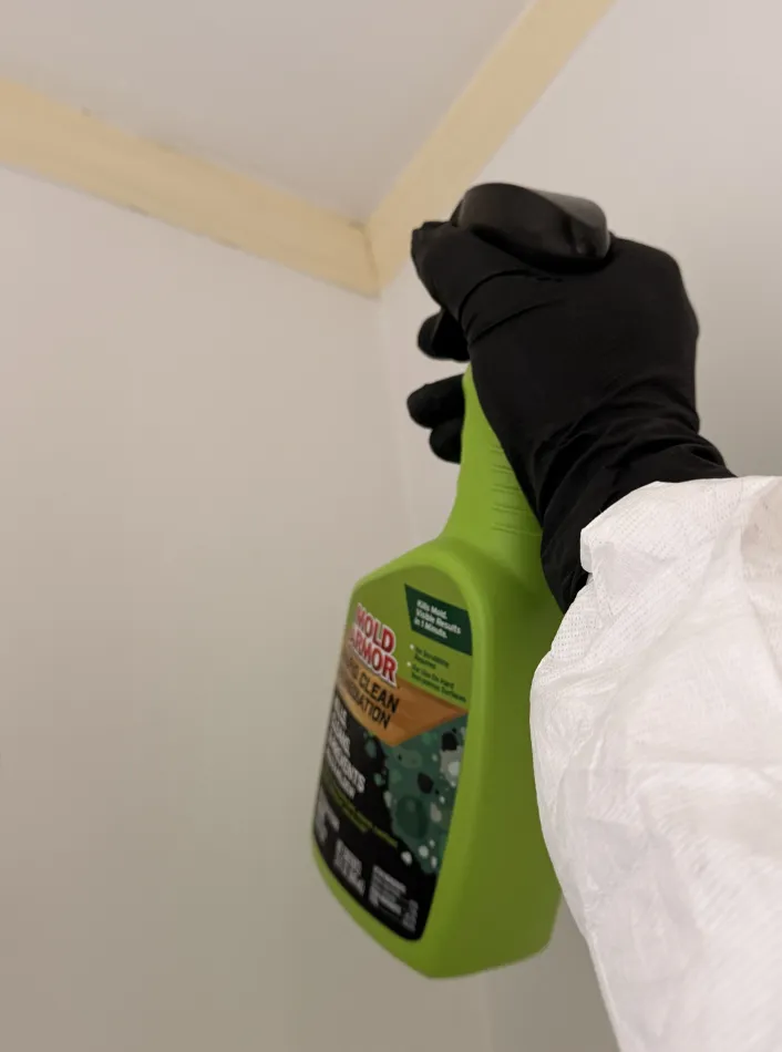 mold Remediation and Bathroom Restoration in Oakland CA - фото - 4