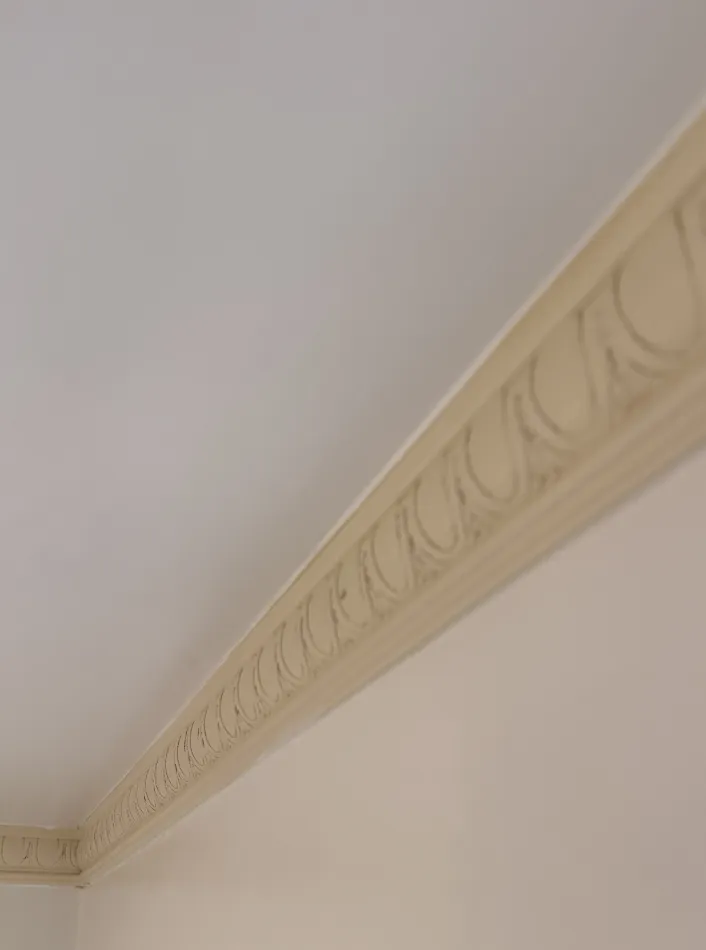 mold Remediation and Bathroom Restoration in Oakland CA - фото - 5