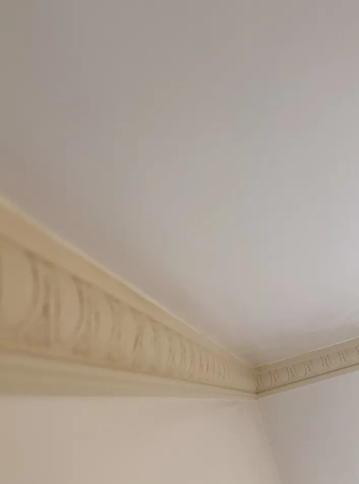 mold Remediation and Bathroom Restoration in Oakland CA - фото - 6