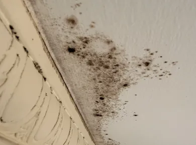 mold Remediation and Bathroom Restoration in Oakland CA - фото - 10