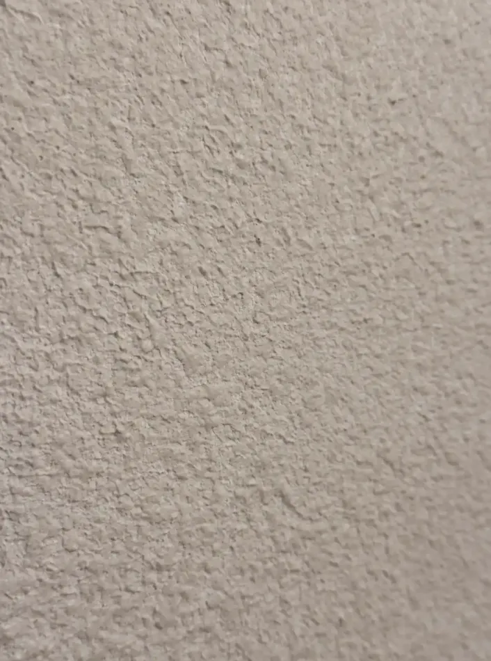 post-mold Remediation Reconstruction in San Ramon - фото - 4