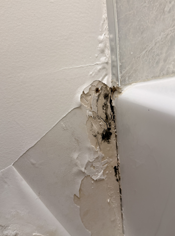 bathroom Mold Remediation, Water Damage Drying & Drywall Reconstruction - фото - 10