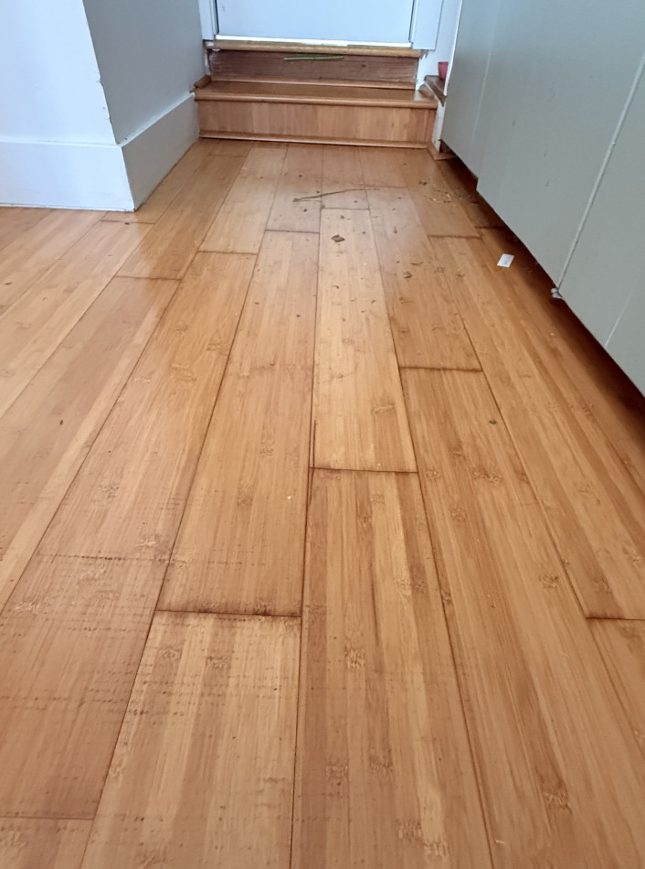 water Damage Restoration & Hardwood Floor Drying - фото - 2