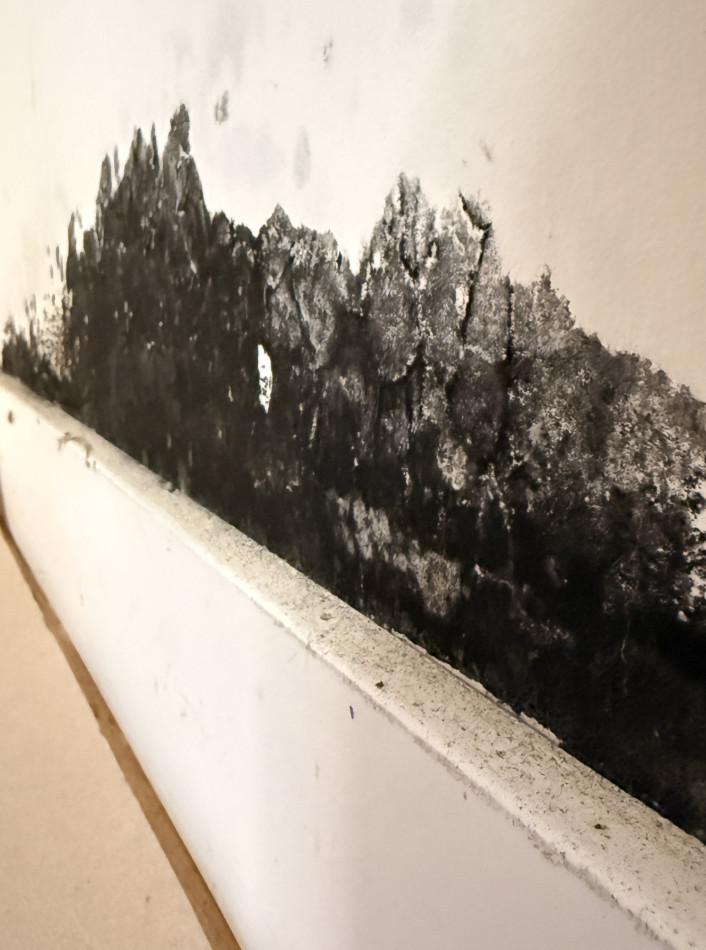 mold Remediation, Structural Drying & Full Reconstruction – Water Damage Restoration - фото - 10