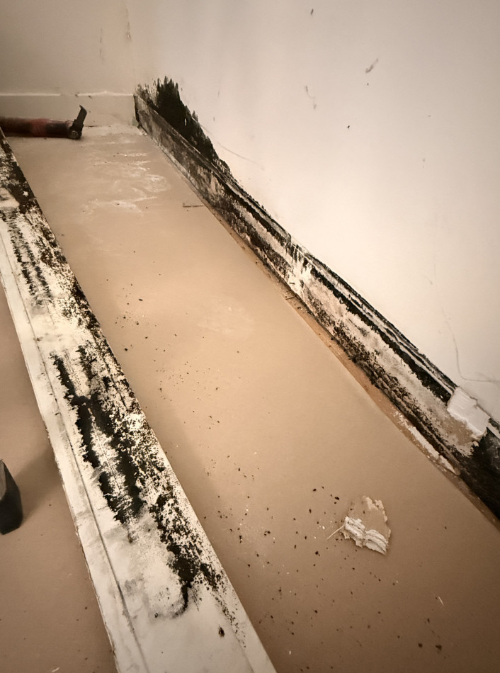 mold Remediation, Structural Drying & Full Reconstruction – Water Damage Restoration - фото - 2