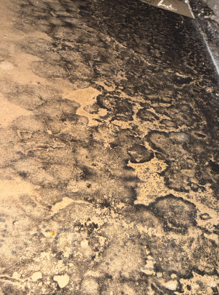 mold Remediation, Structural Drying & Full Reconstruction – Water Damage Restoration - фото - 3