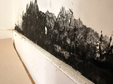 mold Remediation, Structural Drying & Full Reconstruction – Water Damage Restoration - фото - 10